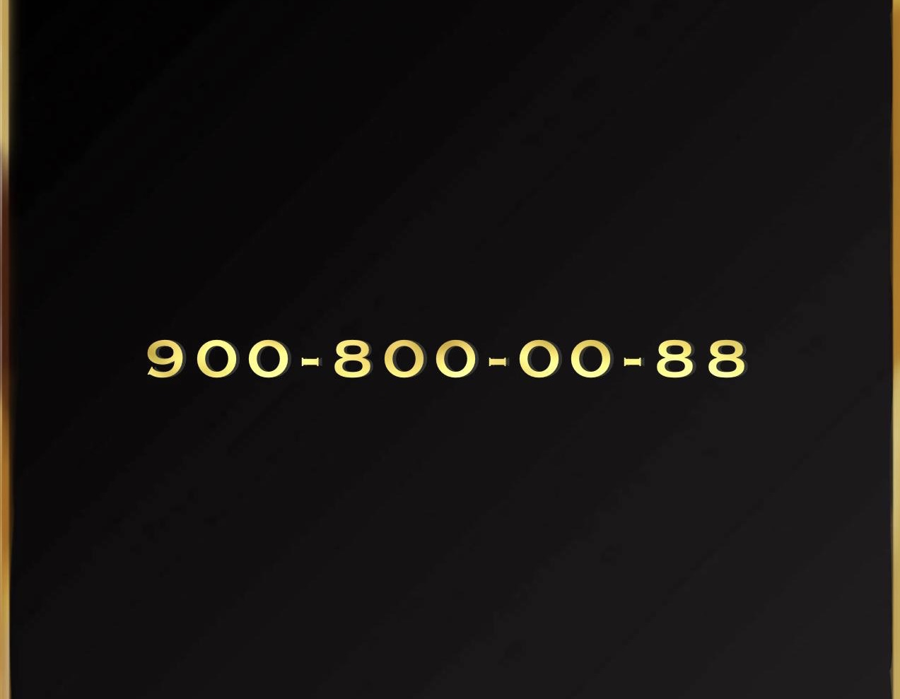 Номер +7 900 800 00 88